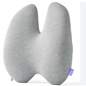 Cushion lab extra support lumbar pillow for chair